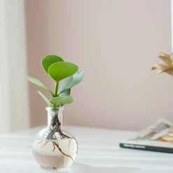 Mini Vase - Petit vase, grand effet déco