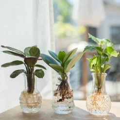 3 Mini-vases vintage - Trio déco prêt à poser