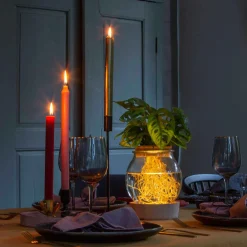 Monstera et son Ampoule vase avec LED - Robuste et décorative d'intérieur