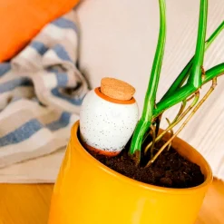 Olla hydratante blanc grainé - Vos plantes hydratées seules