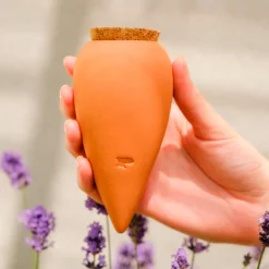 Olla hydratante Terracotta - Vos plantes s'arrosent seules