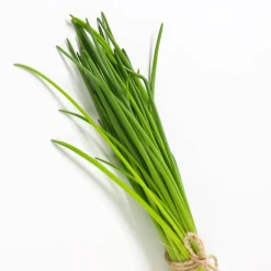 Plant Ciboulette - Récolte fraîche toute l'année