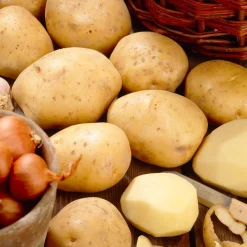 25 Pommes de terre Bintje - La reine des frites maison