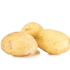 25 Pommes de terre Etincelle - Récolte facile et savoureuse