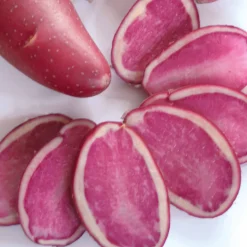 10 Pommes de terre Rouge des Flandres - Chair ferme, saveur du Nord