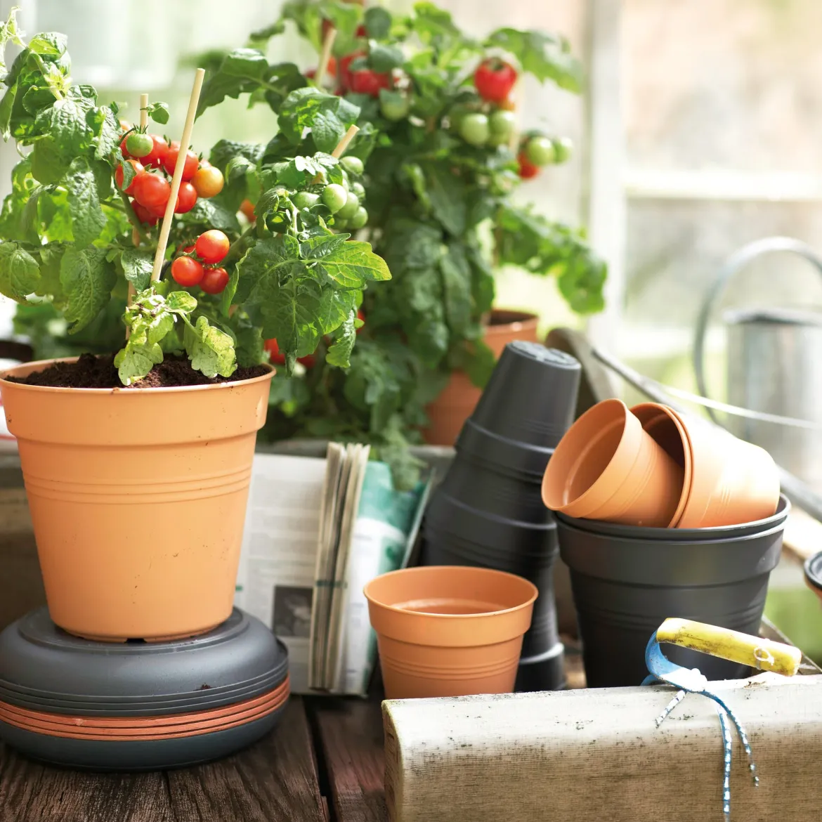Pot de culture Green Basics Terre cuite - Plantez, ça pousse tout de suite