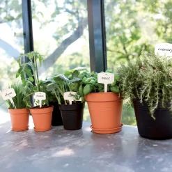 Pot de culture Green Basics Vert pierre - Plantez, ça pousse vite