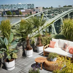 Pot de fleurs Elho Greenville blanc - Déco réussie en 1 geste
