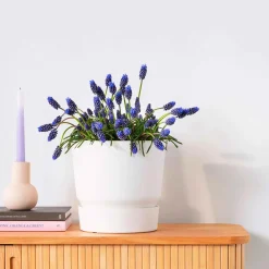 Pot de fleurs Elho Greenville blanc - Déco réussie en 1 geste