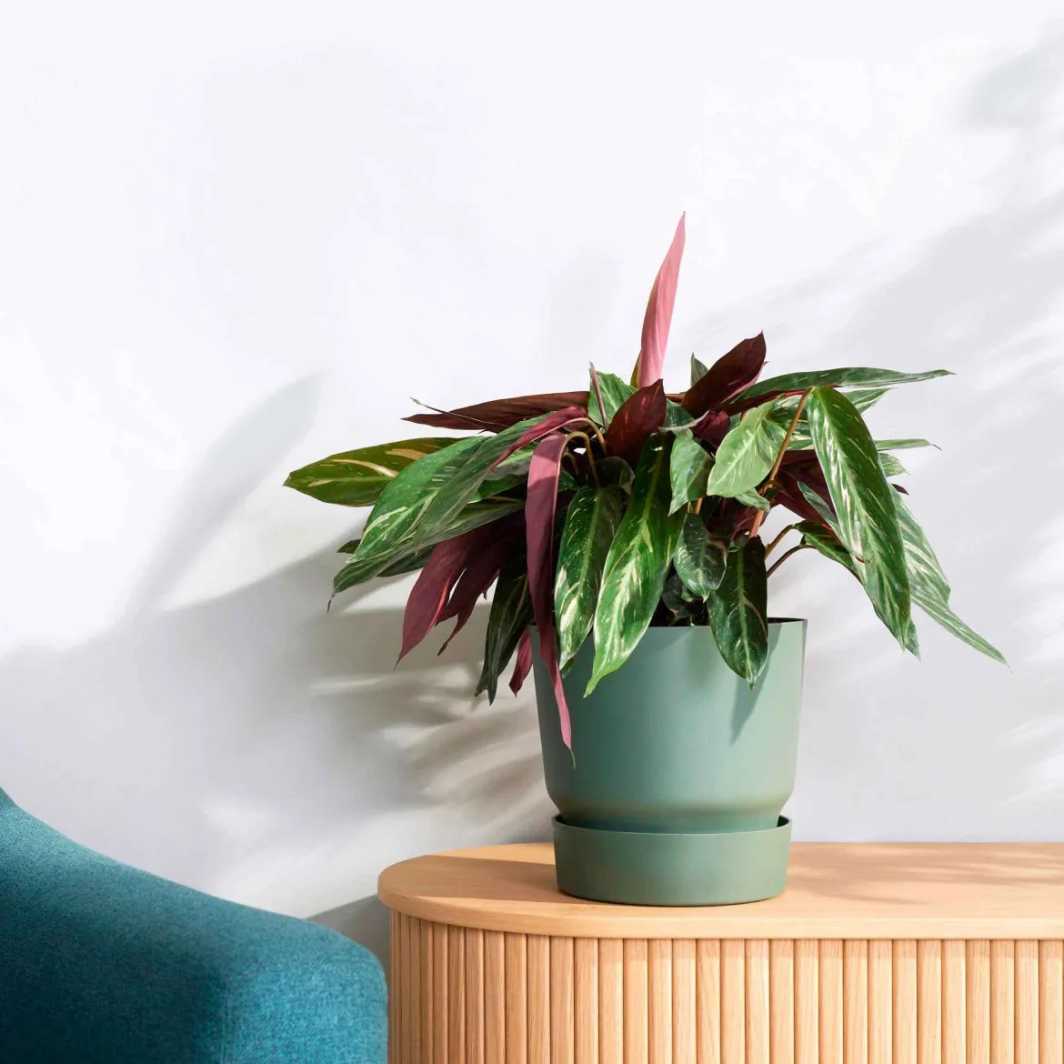 Pot de fleurs Elho Greenville vert - Déco verte prête en 1 min