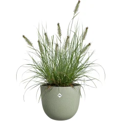 Pot d'extérieur Sereh round Vert scandinave ELHO - Déco verte prête en 1 min