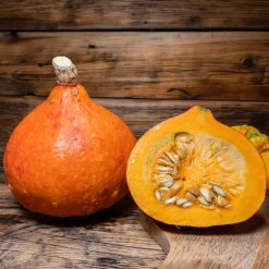 Potiron Uchiki Kuri Bio - Récolte sucrée dès l'automne