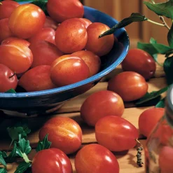 Prunier 'Victoria' - Des prunes maison sans effort