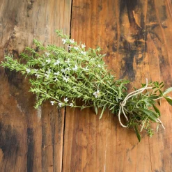 Sarriette commune Bio - Le poivre du potager