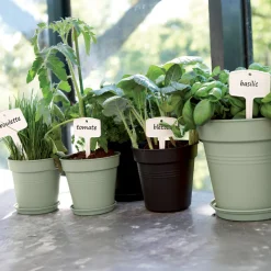 Soucoupe Green Basics Vert pierre ELHO - Un pot propre sans effort