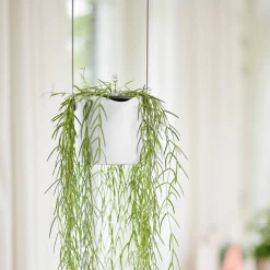 Suspension B for swing blanc ELHO - Vos plantes prennent l'air