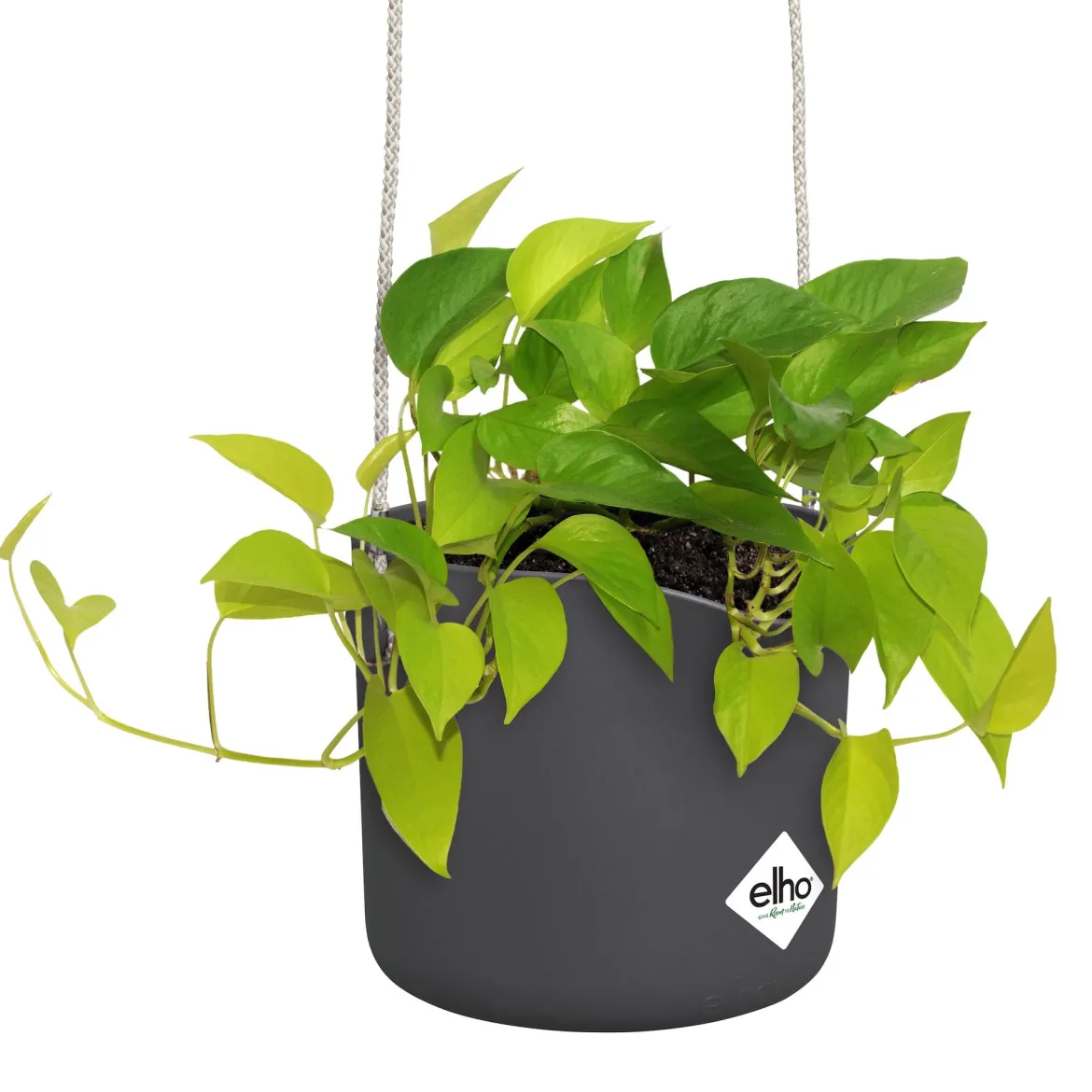 Suspension B for swing gris ELHO - Le vert prend de la hauteur