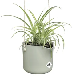 Suspension B for swing vert clair ELHO - Vos plantes prennent de la hauteur