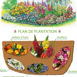 5 Tapis de graines Massif ensoleillé - Un massif fleuri sans effort