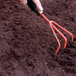 5 Tapis de graines Massif ensoleillé - Un massif fleuri sans effort