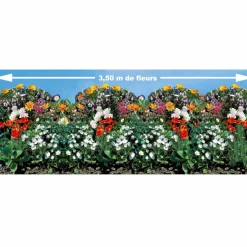 Tapis de graines pour bordures fleuries - Semez, ça fleurit
