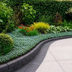 3 Étoiles bleues tapissantes - Un tapis fleuri sans effort