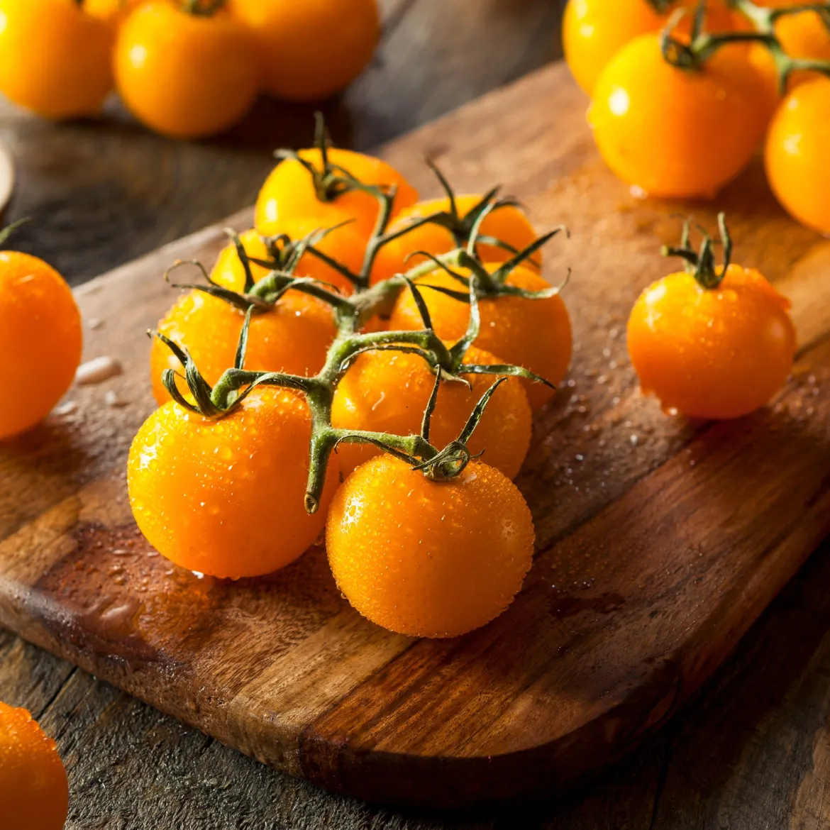 Tomate Cocktail Raisins jaunes - Des grappes sucrées tout l'été