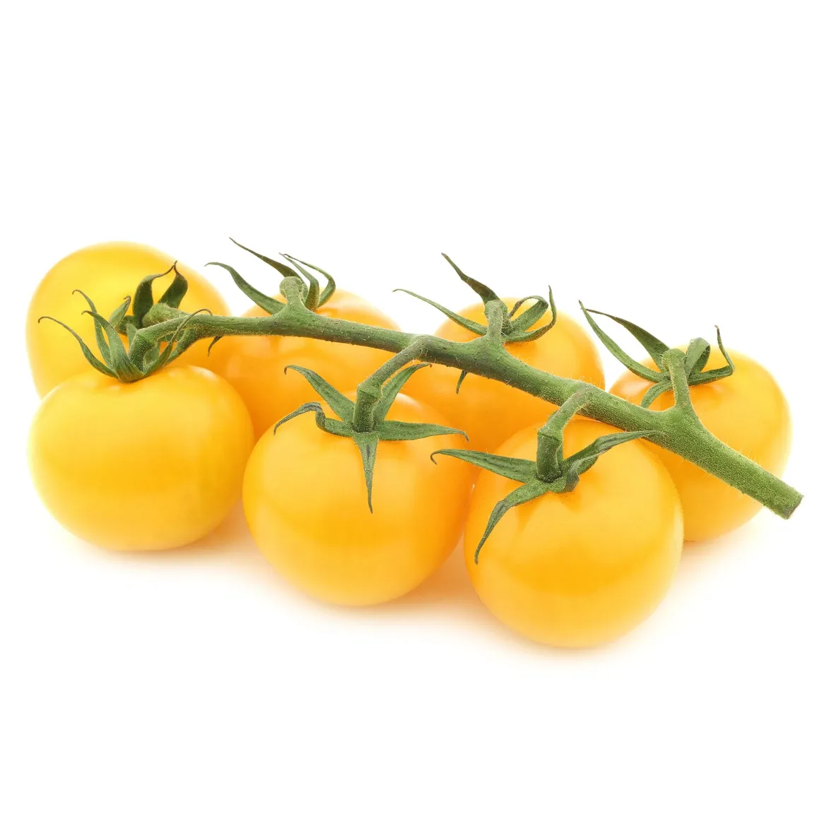 Tomate Cocktail Raisins jaunes - Des grappes sucrées tout l'été
