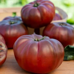 Tomate Noire de Crimée - Une chair fondante et sucrée