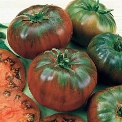 Tomate Noire russe - Une tomate au goût rare