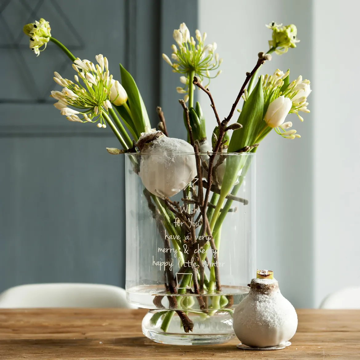 Wax Amaryllis Magic White - Fleurit sans eau ni pot
