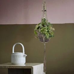 Woningerd Cissus 'Ellen Danica' avec pot suspendu en plastique - Plante suspendue - Cascade verte immédiate